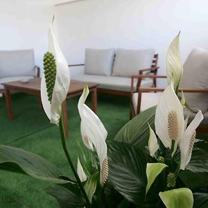 Dalia Suite & Relax
